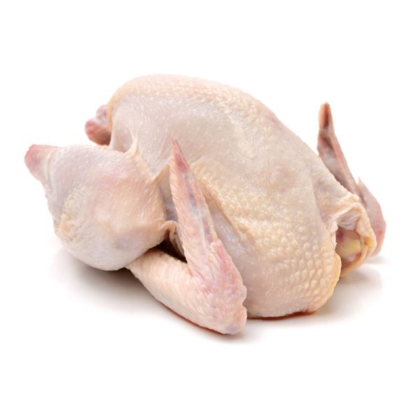 Hard Body Chickens Hens Limpopo Frozen